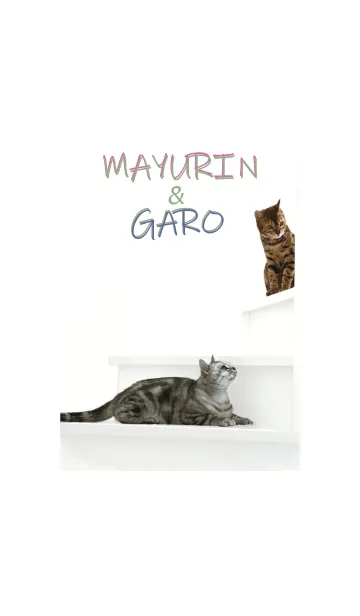 [LINE着せ替え] MAYURIN&GAROの画像1