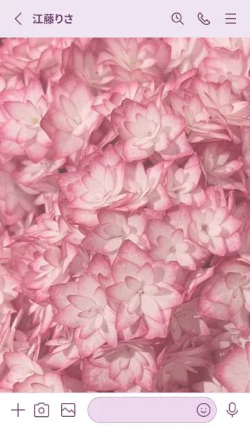 [LINE着せ替え] hydrangea (Ajisai)18の画像2