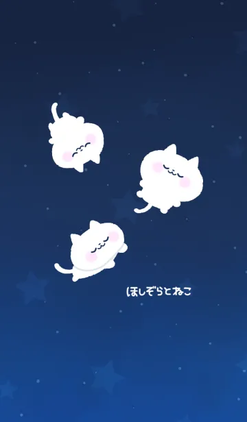 [LINE着せ替え] ほしぞらとねこ【修正版】の画像1