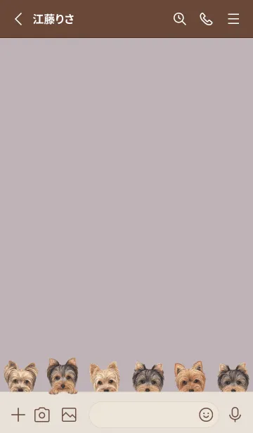 [LINE着せ替え] DOGS - ヨーキー - ブラウングレーの画像2