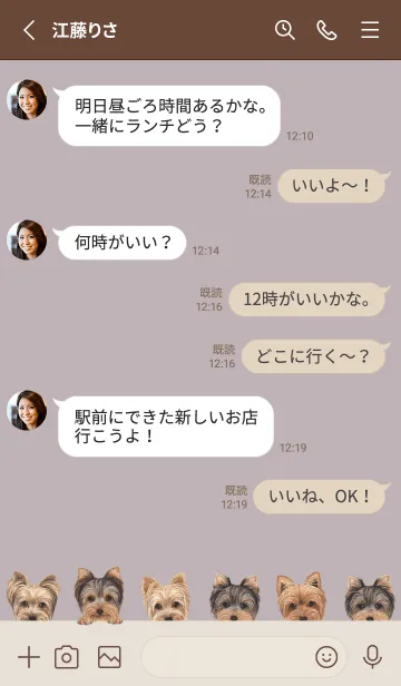[LINE着せ替え] DOGS - ヨーキー - ブラウングレーの画像3