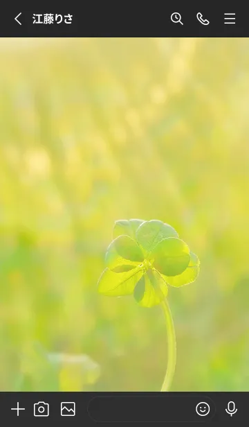 [LINE着せ替え] 七つ葉のクローバー 無限の幸福 #5-3の画像2