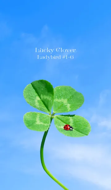 [LINE着せ替え] 四つ葉のクローバーとテントウムシ #1-6の画像1