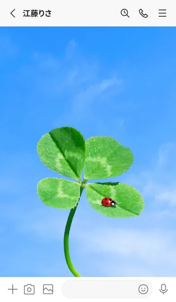 [LINE着せ替え] 四つ葉のクローバーとテントウムシ #1-6の画像2
