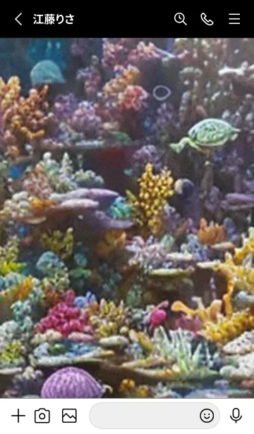 [LINE着せ替え] 熱帯魚の夢#FV222。の画像2