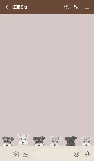 [LINE着せ替え] DOGS - シュナウザー - ブラウングレーの画像2