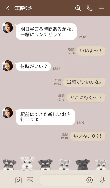 [LINE着せ替え] DOGS - シュナウザー - ブラウングレーの画像3