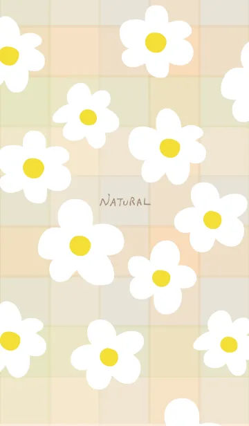 [LINE着せ替え] 白い花 おしゃれの画像1