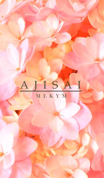 [LINE着せ替え] AJISAI-Flower 25の画像1