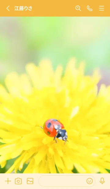 [LINE着せ替え] Ladybird Symbol of good luck #3-19の画像2