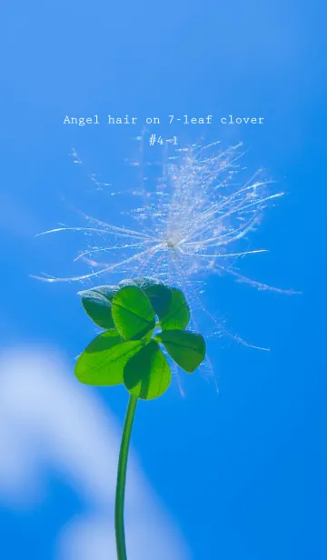 [LINE着せ替え] ケサランパサラン&七つ葉クローバー #4-1の画像1