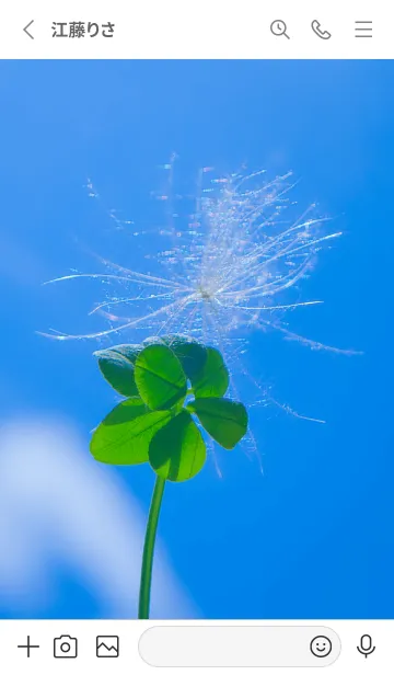 [LINE着せ替え] ケサランパサラン&七つ葉クローバー #4-1の画像2