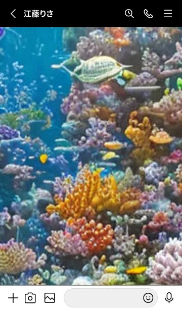 [LINE着せ替え] 熱帯魚の夢#FV43。の画像2