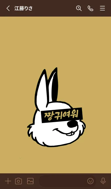 [LINE着せ替え] 韓国 ラビット 33の画像2