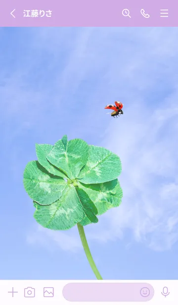 [LINE着せ替え] 七つ葉のクローバーとテントウムシ #5-5の画像2