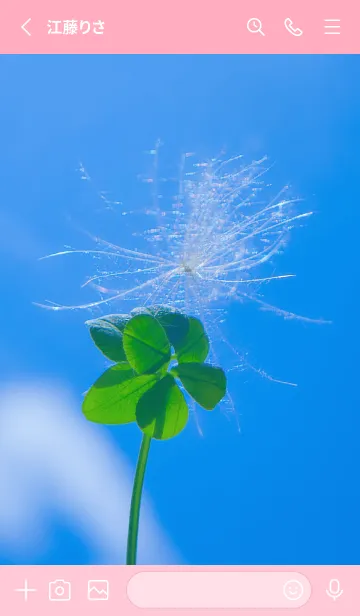 [LINE着せ替え] ケサランパサラン&七つ葉クローバー #4-2の画像2