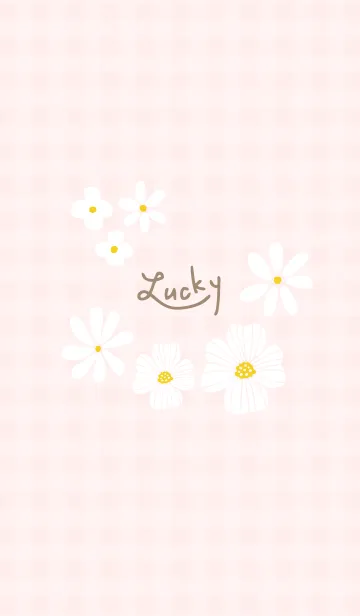 [LINE着せ替え] かわいい白いお花28の画像1