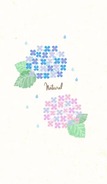 [LINE着せ替え] あじさい 水彩2の画像1