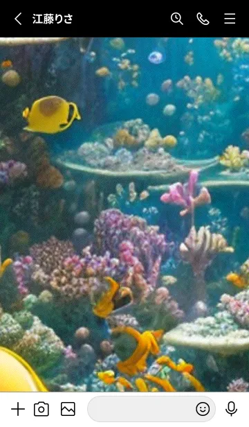 [LINE着せ替え] 熱帯魚の夢#FaA09。の画像2