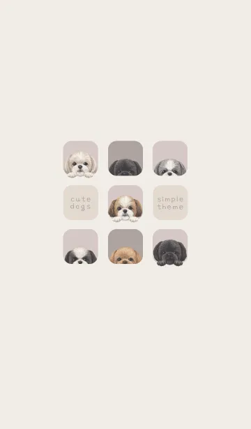 [LINE着せ替え] DOGS - シーズー - ブラウングレーの画像1