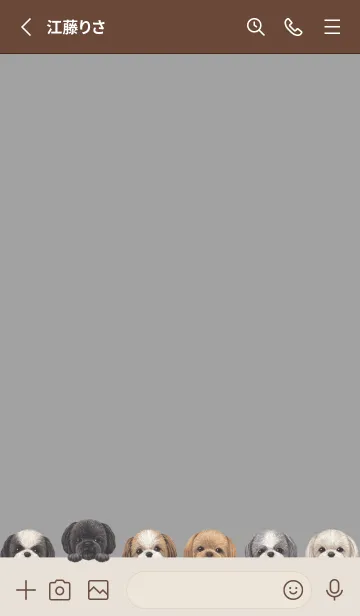 [LINE着せ替え] DOGS - シーズー - アッシュグレーの画像2