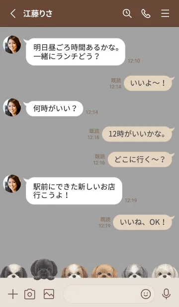 [LINE着せ替え] DOGS - シーズー - アッシュグレーの画像3