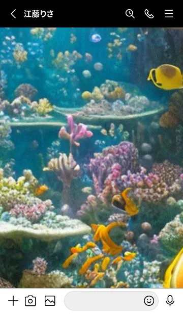 [LINE着せ替え] 熱帯魚の夢#FaA019。の画像2