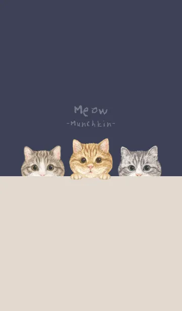 [LINE着せ替え] 猫 - マンチカン - ダスティネイビーの画像1