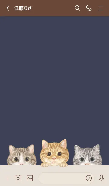 [LINE着せ替え] 猫 - マンチカン - ダスティネイビーの画像2