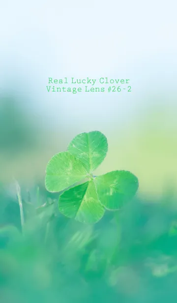 [LINE着せ替え] 四つ葉のクローバー Vintage Lens #26-2の画像1