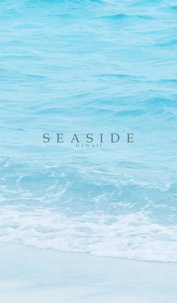 [LINE着せ替え] SEASIDE-HAWAII.MEKYM 36の画像1