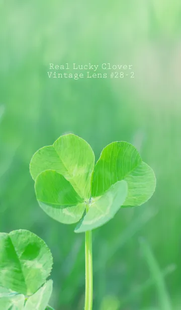 四つ葉のクローバー Vintage Lens #28-2の着せ替えメイン画像