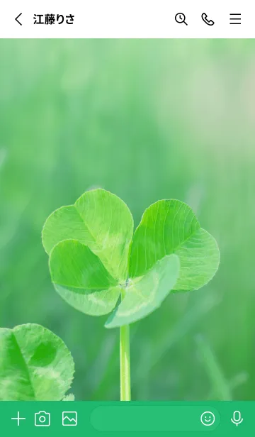 [LINE着せ替え] 四つ葉のクローバー Vintage Lens #28-2の画像2