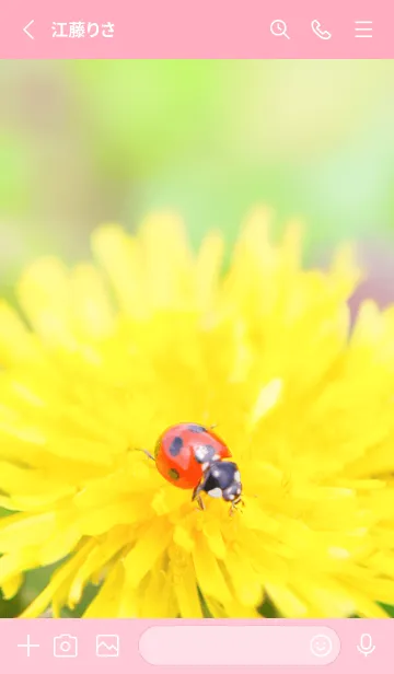 [LINE着せ替え] Ladybird Symbol of good luck #3-20の画像2