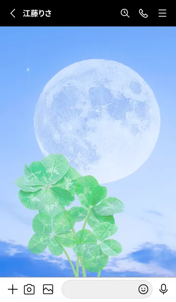 [LINE着せ替え] Real Lucky Clovers Full Moon #1-32の画像2