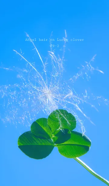 [LINE着せ替え] 幸運の妖精ケサランパサラン #9-2の画像1