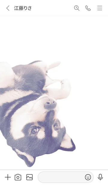 [LINE着せ替え] Kuroshiba Loveの画像2