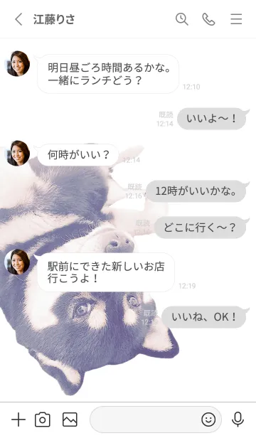 [LINE着せ替え] Kuroshiba Loveの画像3