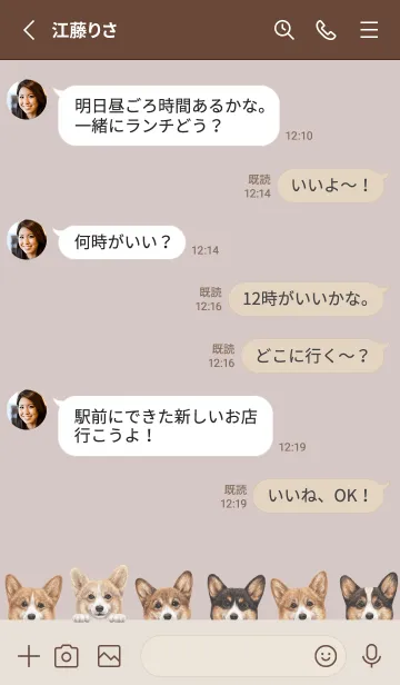 [LINE着せ替え] DOGS - コーギー01 - ブラウングレーの画像3