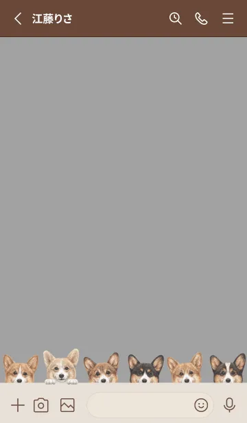 [LINE着せ替え] DOGS - コーギー01 - アッシュグレーの画像2