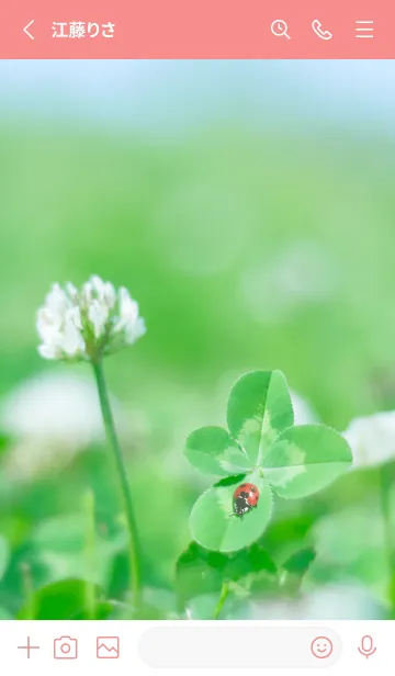 [LINE着せ替え] 四つ葉のクローバーとテントウムシ #7-1の画像2