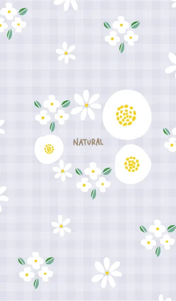 [LINE着せ替え] おしゃれな白い花23の画像1