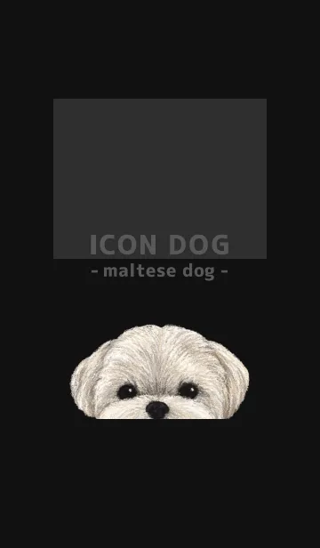 [LINE着せ替え] ICON DOG - マルチーズ - BLACK/01の画像1
