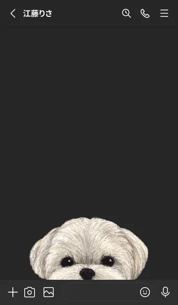 [LINE着せ替え] ICON DOG - マルチーズ - BLACK/01の画像2