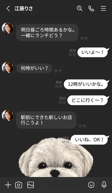 [LINE着せ替え] ICON DOG - マルチーズ - BLACK/01の画像3