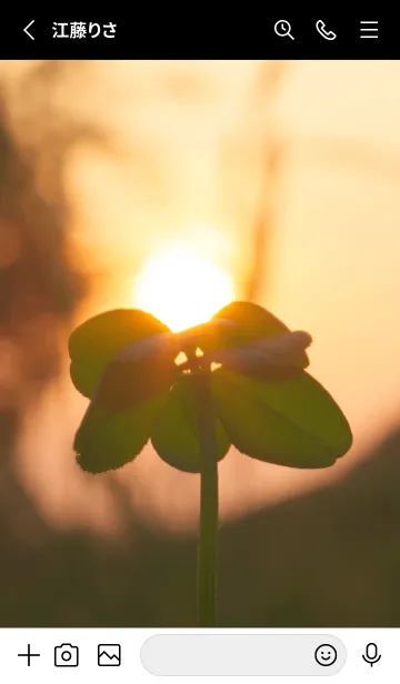 [LINE着せ替え] 七つ葉のクローバー 無限の幸福 #7-5の画像2