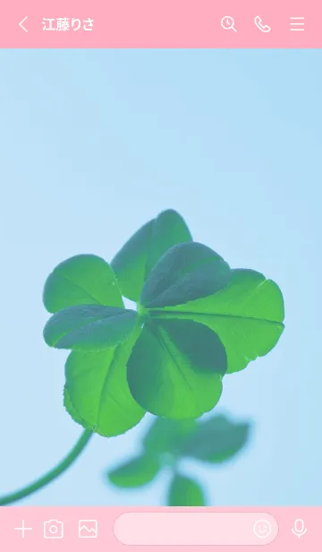 [LINE着せ替え] 七つ葉のクローバー 無限の幸福 #8-5の画像2