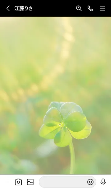 [LINE着せ替え] 七つ葉のクローバー 無限の幸福 #5-5の画像2