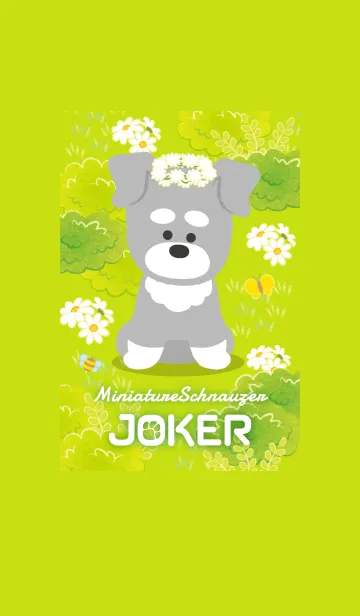 [LINE着せ替え] JOKERミニチュアシュナウザーの画像1