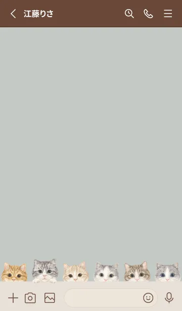 [LINE着せ替え] CATS - マンチカン - スカイグレーの画像2